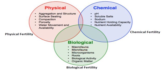 physical-chemical-biological chart